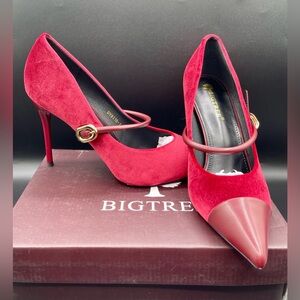 BIGTREE Burgundy Velvet Pointed-Toe Stiletto Heels Gold Glitter. Size 42